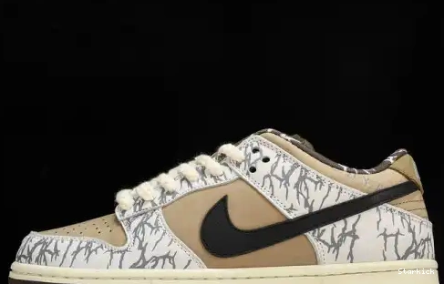  Nike  Dunk CT5053-010 QS SB PRM Low 0510